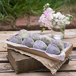 《红霞岛》翻车背后：领导一意孤行 员工很困惑